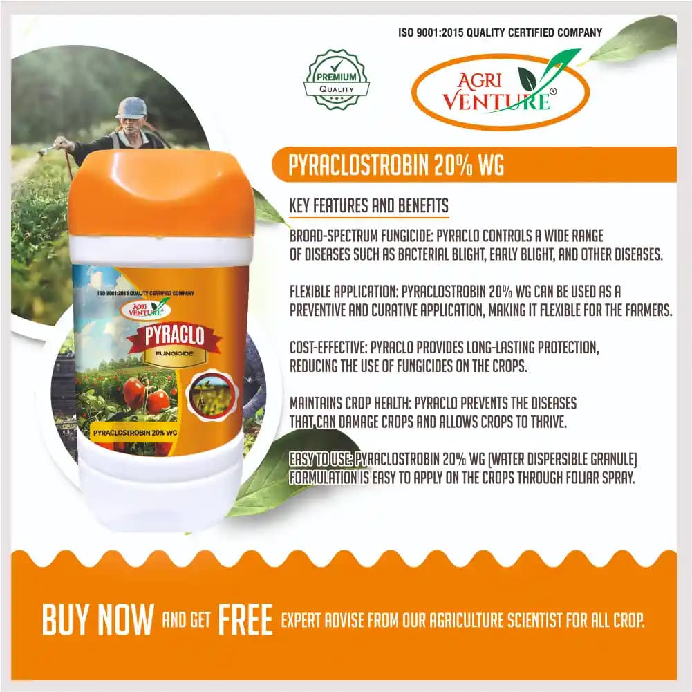 Agriventure PYRACLO Pyraclostrobin 20% WG, Broad-Spectrum Systemic Fungicide For Multiple Crops - Image 3