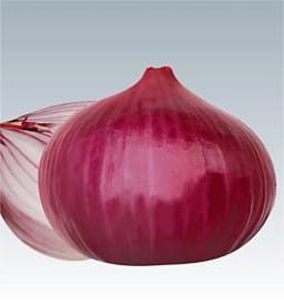 Gennext Pioneer F1 Hybrid Onion Seeds, Round to Oval Shape, Heirloom Variety 3