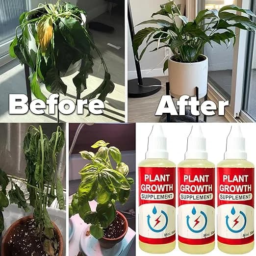 CropKraft Plant Growth Supplement (Liquid), Root Enhancer For Plants, Pot Plant Growth Enhancers (Pack of 3) - Image 4