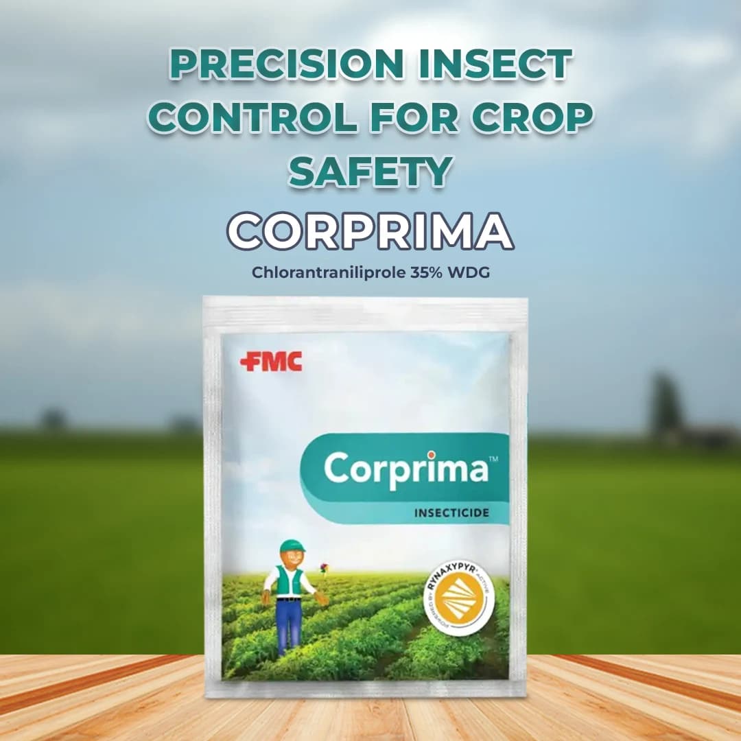 FMC Corprima Insecticide Chlorantraniliprole 35% WDG , Important Lepidopteran Pests In Tomato & Okra Crops - Image 2