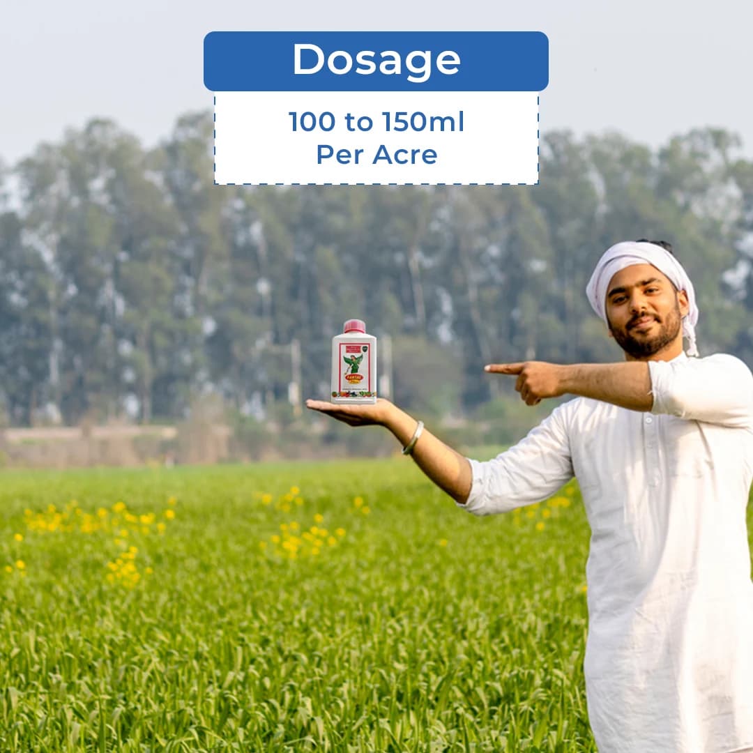 Coromandel Fantac Plus - Plant Growth Promoter - Image 5