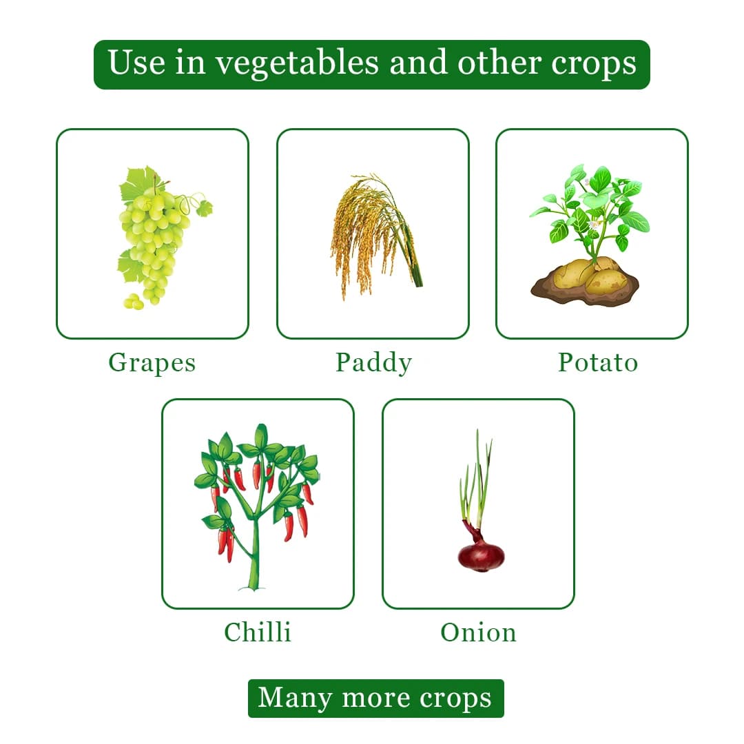 Katyayani Dr. Zole Fungicide - Image 4