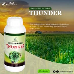 Zeal Biological Thunder Viricide Virus Controller, Unleash the Power to Defeat Crop Viruses, Controls the Curling of Leaves 3