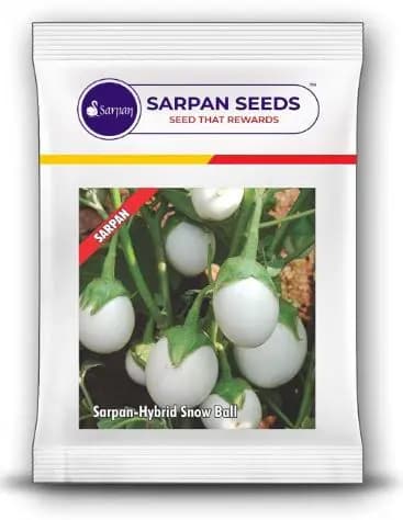 Sarpan Hybrid Snow Ball, White Egg Type Brinjal Seeds, Suitable In all seasons - Image 2