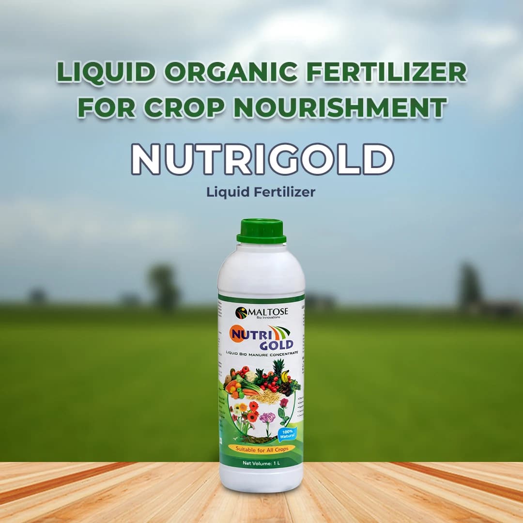 Nutrigold - Liquid Fertilizer, Bio-Active Microbial Fertilizer, For Increasing Ability Of Crops - Image 2