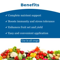 YK Laboratory Chilli Virus Special (Immuno 1 ltr + Enviro 1 ltr + Cyto Plus 550 ml) 4