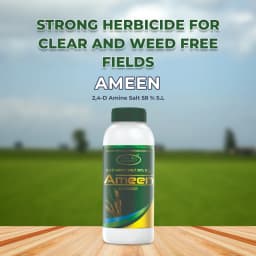 Agriventure Ameen ( 2,4-D Amine Salt 58 % S.L ) Broad Spectrum And Selective Herbicide 2