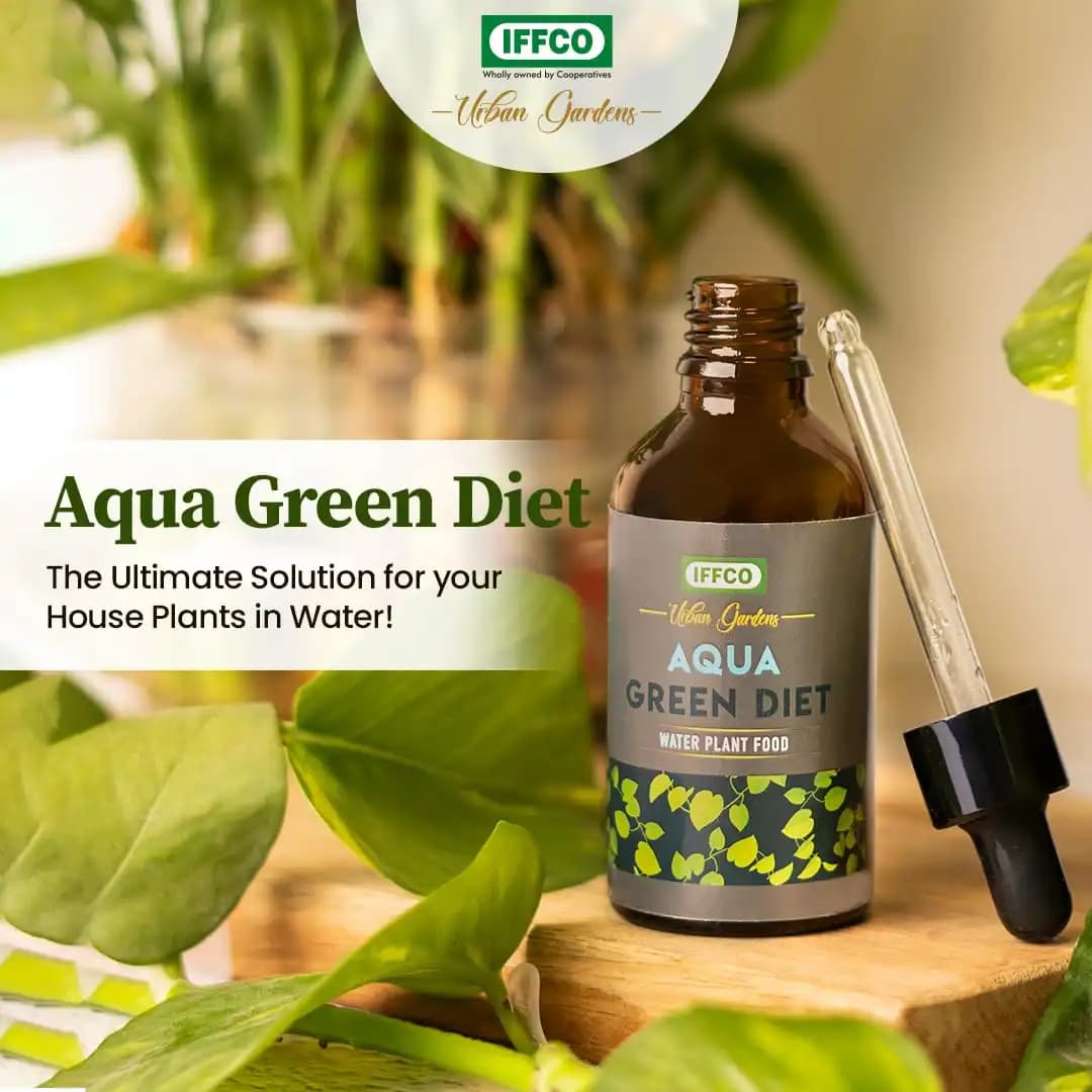IFFCO Urban Garden Aqua Green Diet Liquid Fertilizer, For Water Plant Food, Boost Growth For Lucky Bamboo, Money Plant, Pothos, And More - Image 4