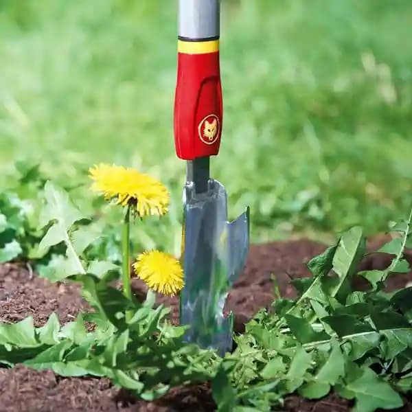 Wolf Garten Thistle Extractor (IW-M) 4cm, Used for Weed Control, Garden Maintenance, Lawn Care, Portable and Lightweight - Image 4