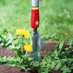 Wolf Garten Thistle Extractor (IW-M) 4cm, Used for Weed Control, Garden Maintenance, Lawn Care, Portable and Lightweight 4