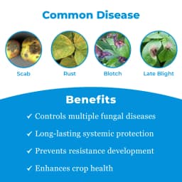 Adama Custodia Fungicide - Azoxystrobin 11% + Tebuconazole 18.3% SC 3