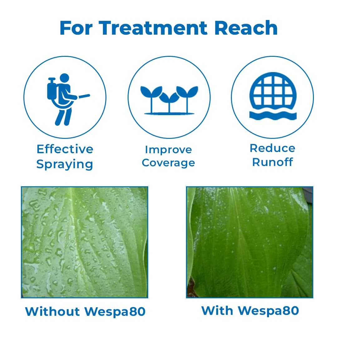 WESPA-80 Wetting and Spreading Agent, Unique Silicon-based All Purpose Agricultural Spray Adjuvant - Image 2