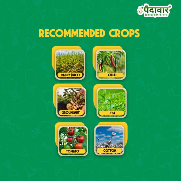 Paidavaar Triaboost Triacontanol 0.1% EW Plant Growth Regulator For Enhanced Crop Growth and Yield - Image 3