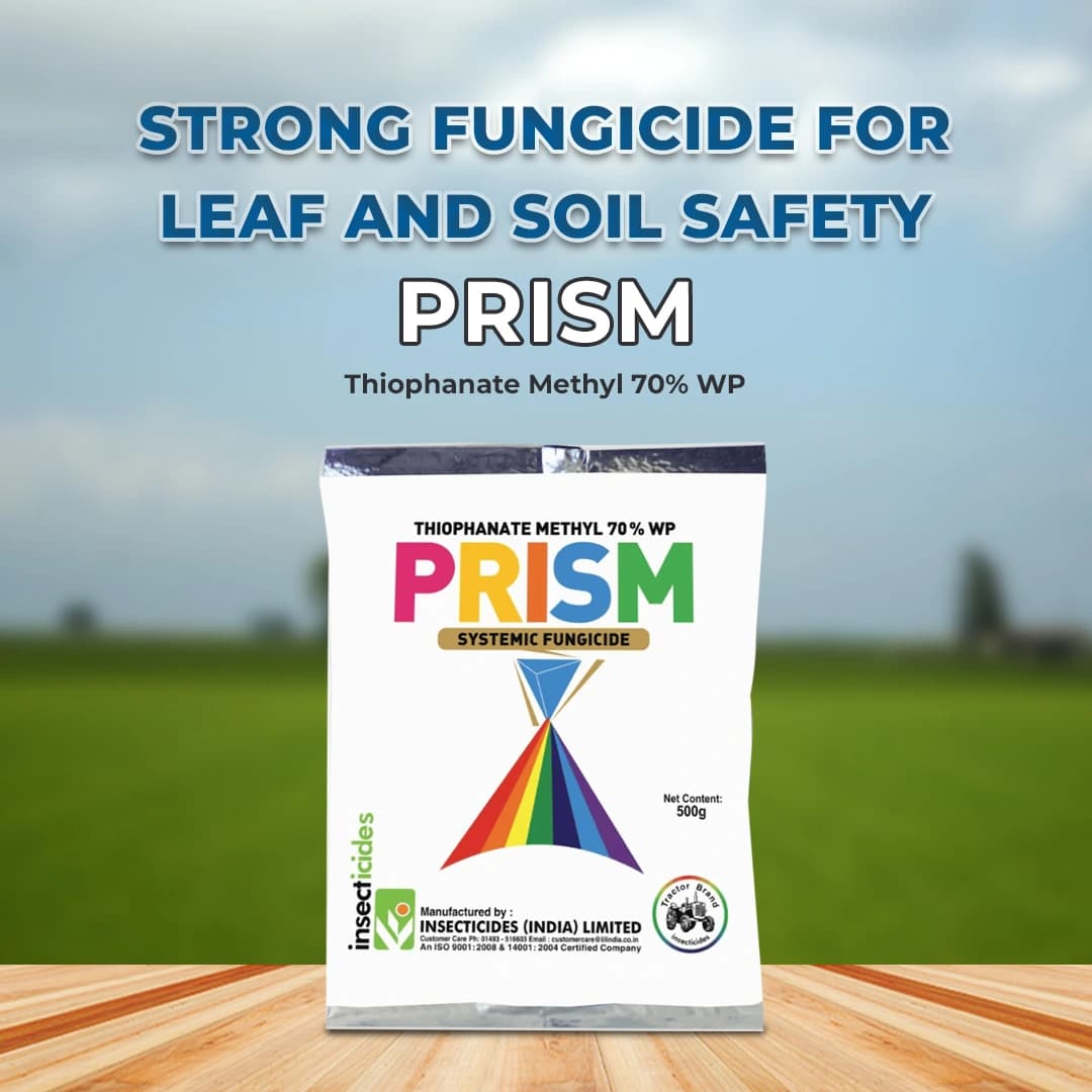 IIL Prism Thiophanate Methyl 70% WP Fungicide, Broad-Spectrum Systemic Fungicide with Protective and Curative Action - Image 2