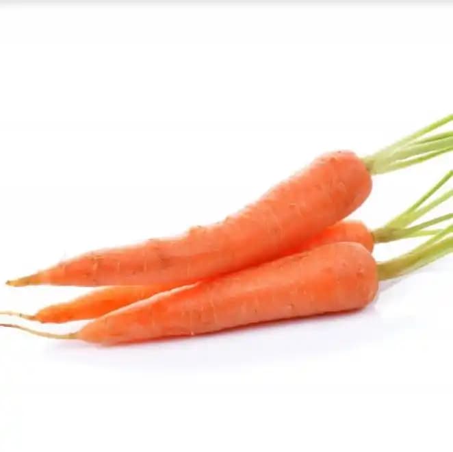 Jivit F1 Hybrid Nimrat Carrot Seeds, Nantes Type Hybrid, Deep Orange Colour. - Image 1
