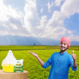 Maxplus Trap With Melon Fly Lure, For Controlling Bactrocera Cucurbitae, For Water Melon, Musk Melon, Cucumber, Bottle Gourd, Pumpkin, all Vegetables 5