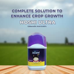 Sumitomo Hoshi Ultra Plant Growth Regulator, Gibberellic Acid 0.001% With Micro Nutrients 2