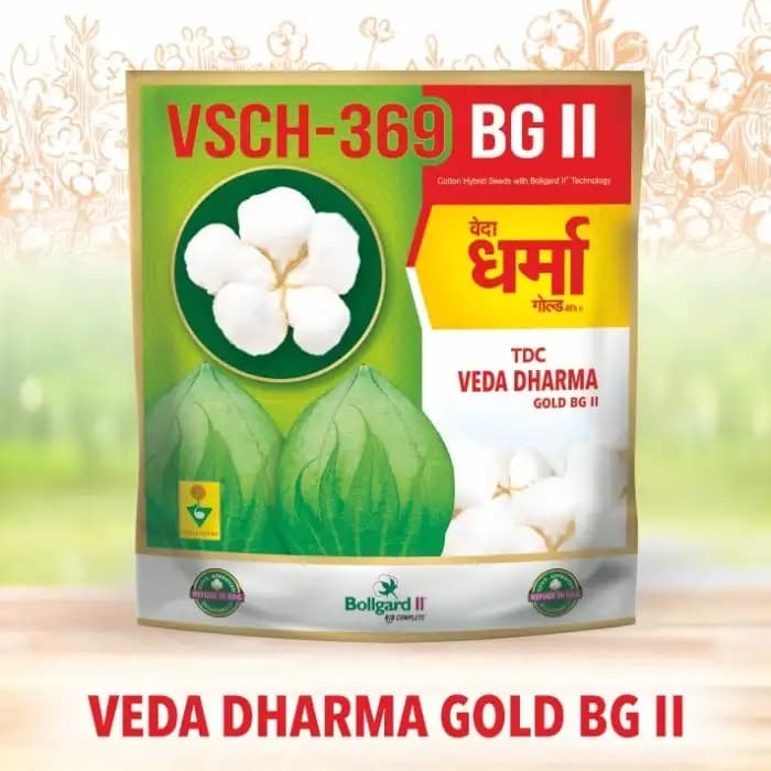 Veda Dharma Gold Cotton Seeds (VSCH-369 BG II) - Big Boll Size, Medium Duration Crop (475 Gm) - Image 2