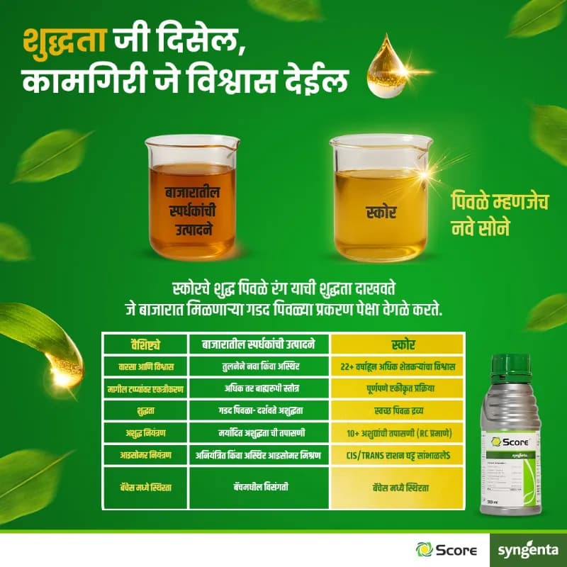 Syngenta Score Fungicide - Image 3