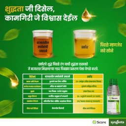 Syngenta Score Fungicide 3