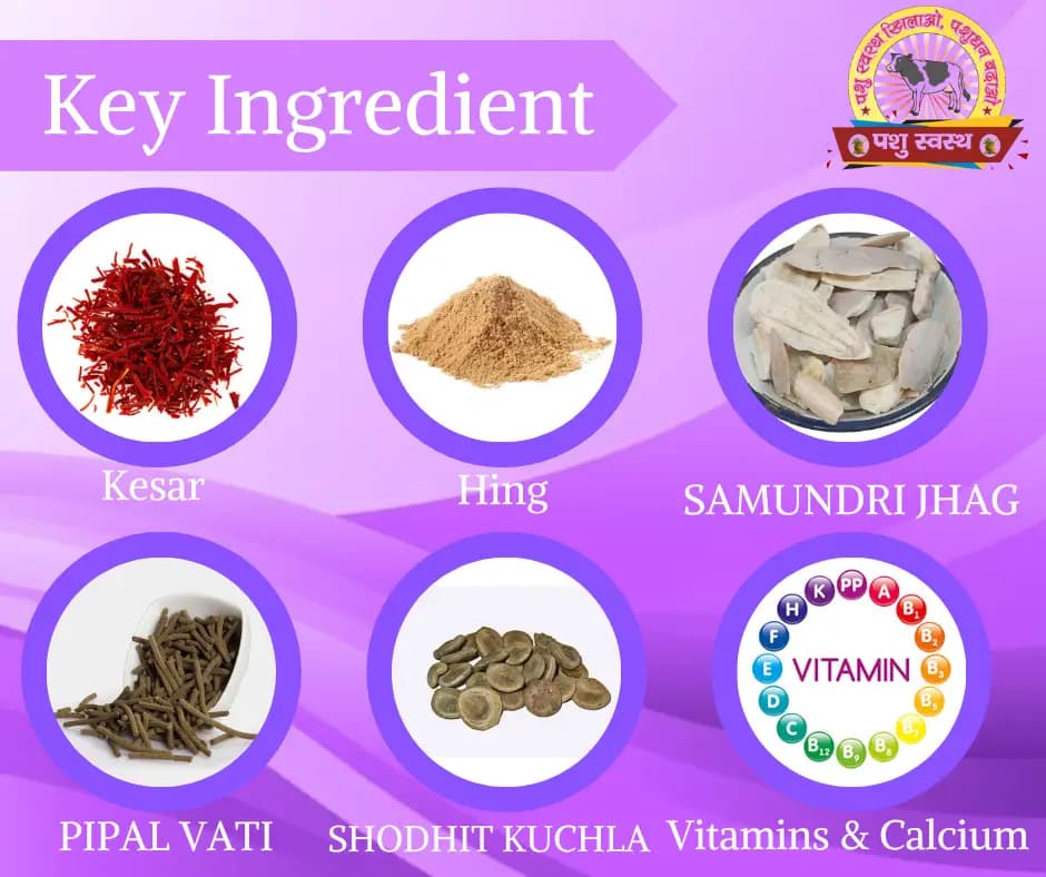 PASHU SVASTH FRS GOLD POWDER, Natural Phosphorus Supplement For Cow And Buffalo - Image 4