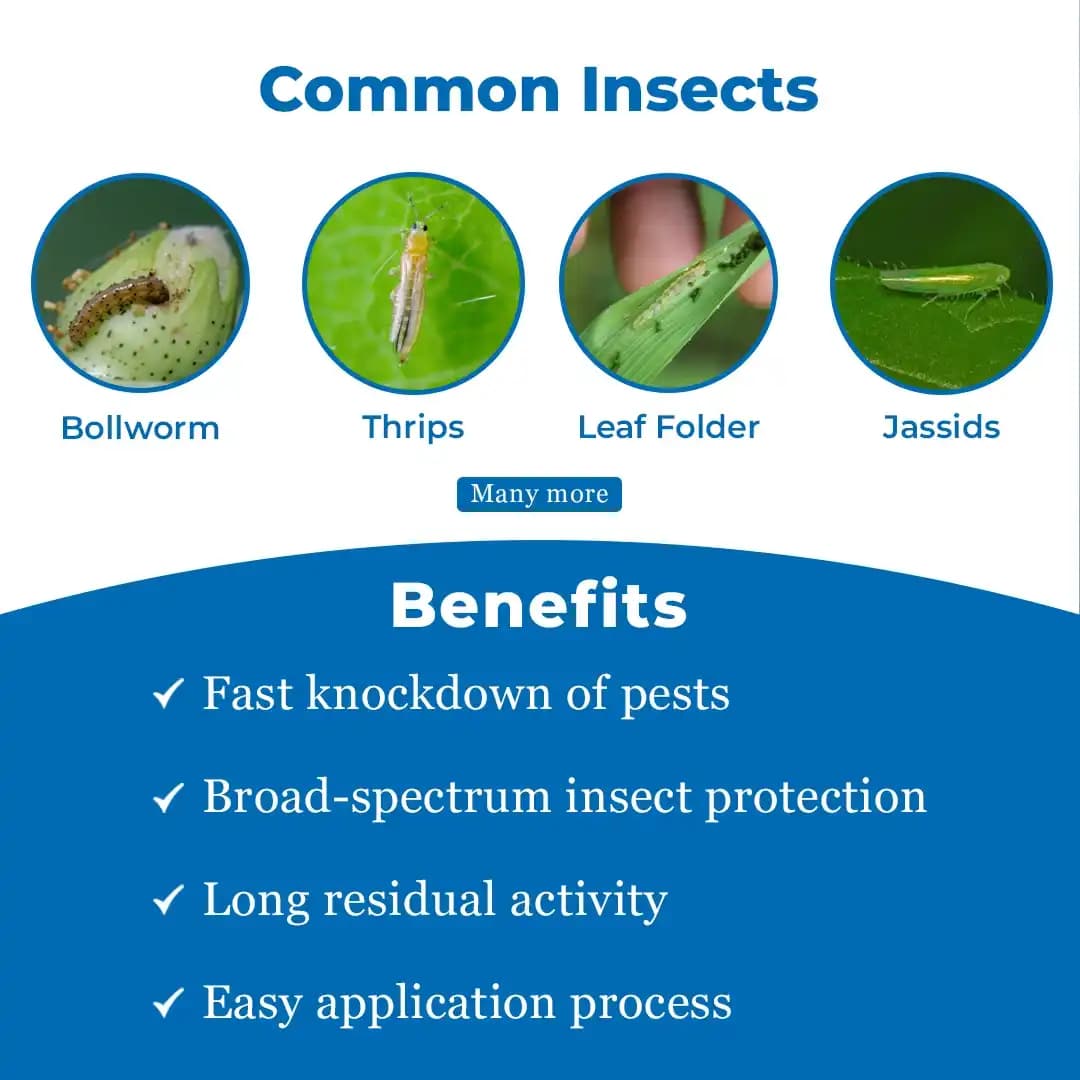 Bayer Decis Insecticide - Image 3