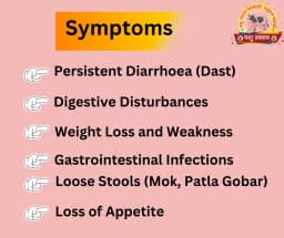 PASHU SVASTH BANDH KHOL POWDER, Holistic Care For Constipation And Diarrhoea 6