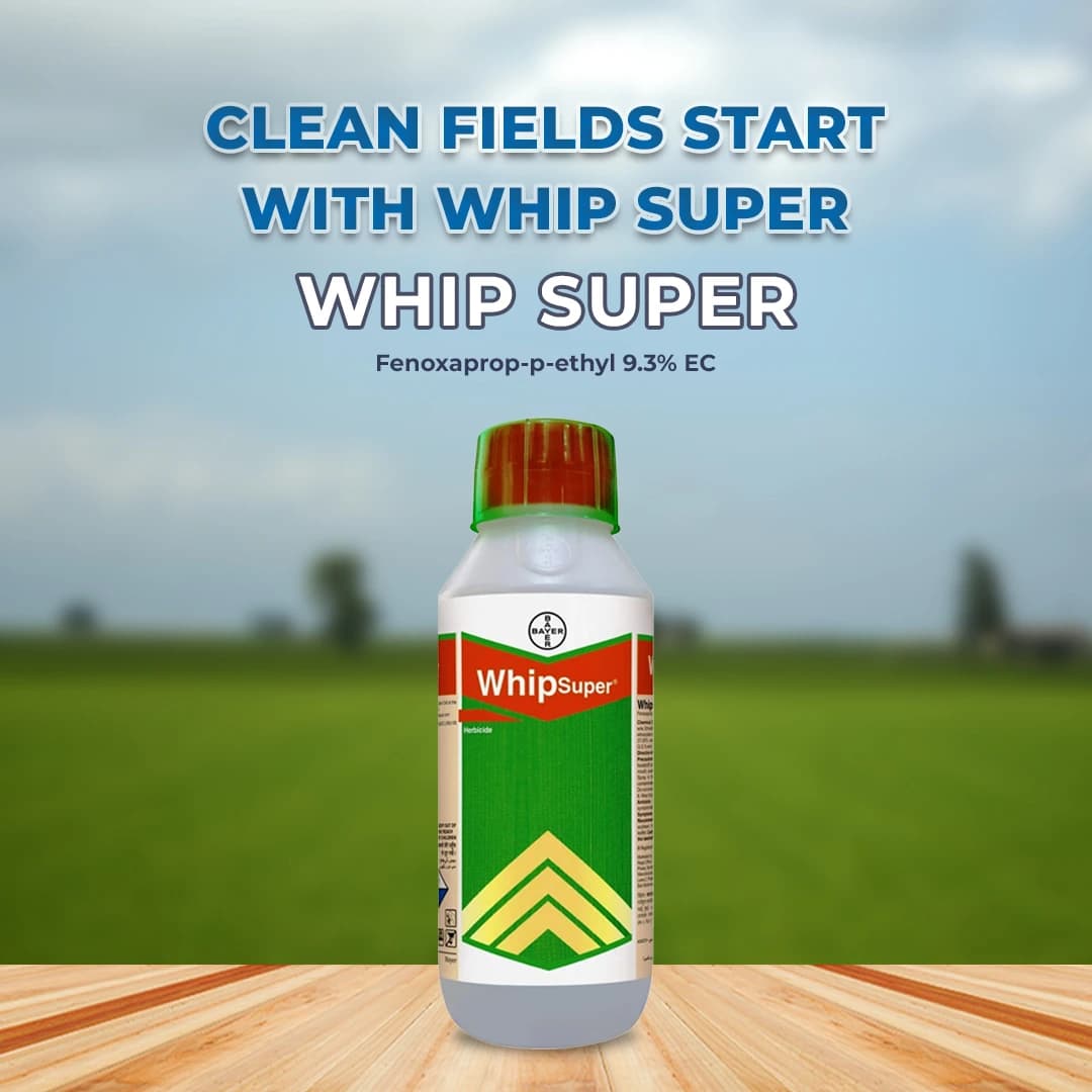 Bayer Whip Super - Fenoxaprop-p-ethyl 9.3% EC , It is a Post-Emergent Herbicides - Image 2