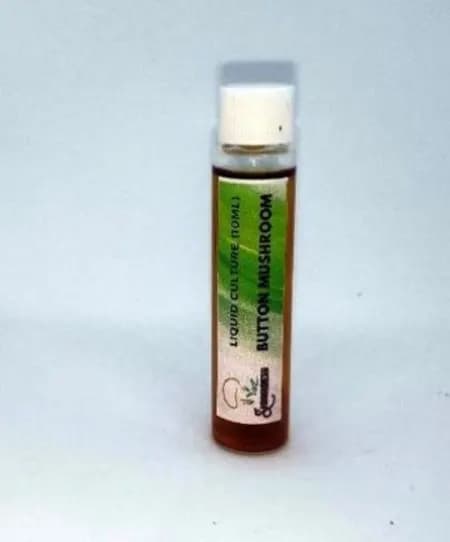 Shroomness White Button Mushroom Liquid Culture , 100 % Clean, Concentrated - Image 3