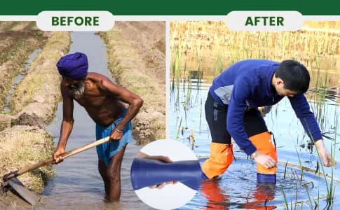 VIP Farmer Safety Shoes, Short Length Paddy Shoes, Agriculture Shoes, Made With Durable, Flexible, And Unbreakable Material - Image 5