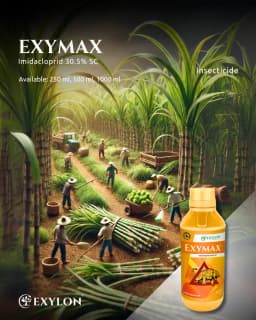 Exylon Exymax Imidacloprid 30.5% SC Insecticide, Effective For Sucking Pests Control 2