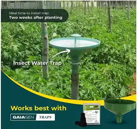 Gaiagen Diamondback Moth Pheromone Lure for Plutella xylostella, IMO Certified. - Image 4