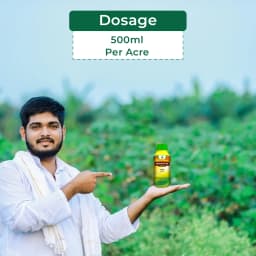 Dhanuka Dhanutop Pendimethalin 30% EC Herbicide, Selective Pre-Emergence For Effective Weed Control 5