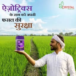 Crystal Azotrix (Azoxystrobin 16.7 % + Tricyclazole 33.3 % SC) Fungicide, Promotes Robust Plant Growth And Resilience. 4