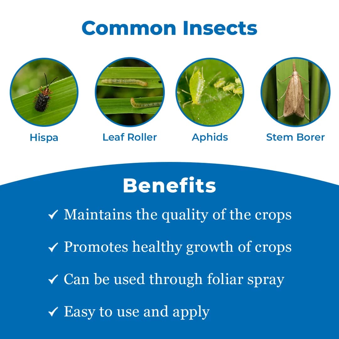 Carbine 20 - Chlorpyriphos 20% EC Insecticide, For Controlling Termite, Aphids, Bollworms, Whitefly & Cut Worm, Hispa, Leaf Roller, Stem Borer - Image 3