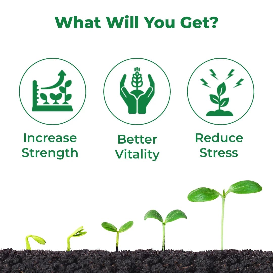 बीएसीएफ न्यूट्रिक्सन कैल एसएल - कैल्शियम, बोरोन, अमीनो एसिड। फल और फूल गिरने से रोकता है, जैविक और अजैविक तनाव को कम करता है, फल का आकार बढ़ाता है - Image 3