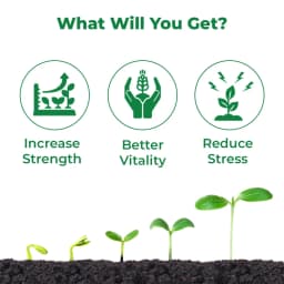 बीएसीएफ न्यूट्रिक्सन कैल एसएल - कैल्शियम, बोरोन, अमीनो एसिड। फल और फूल गिरने से रोकता है, जैविक और अजैविक तनाव को कम करता है, फल का आकार बढ़ाता है 3