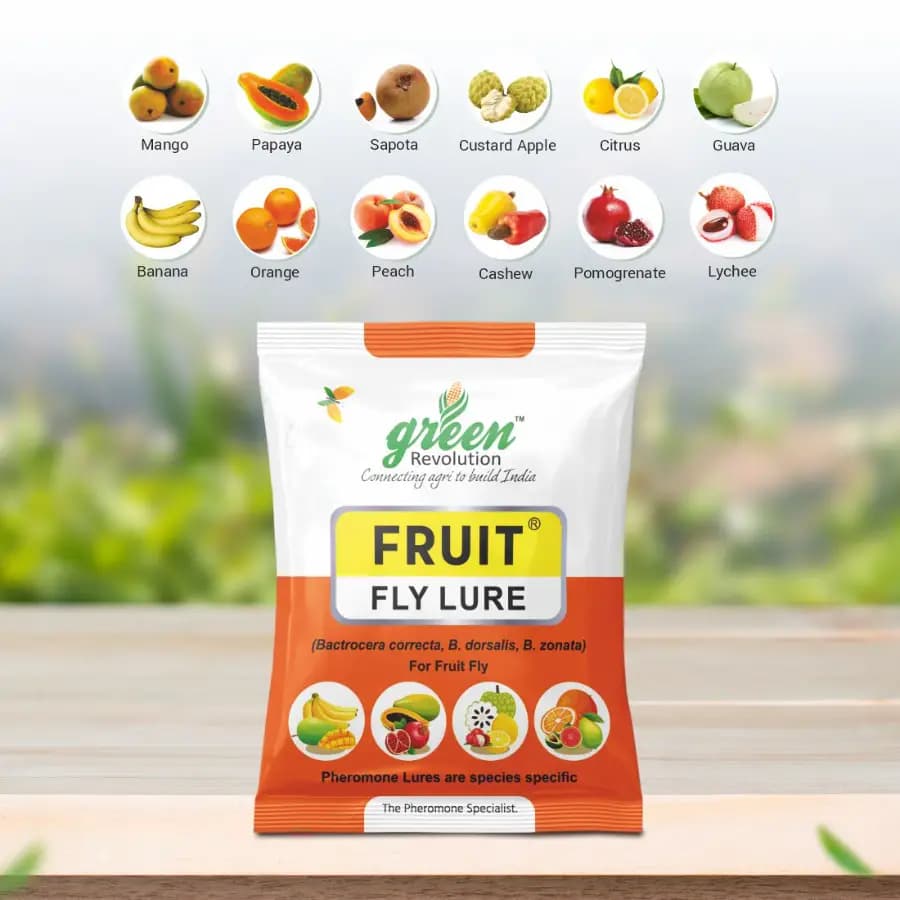 Green Revolution Yellow IPM Trap With Fruit Fly Lure, Efficient For Fruit Fly Control In All Fruit Crops - Image 5