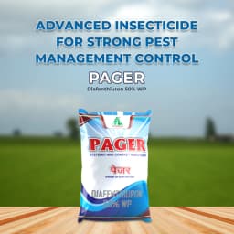 Dhanuka Pager Diafenthiuron 50% WP Insecticide, Broad Spectrum, Effective For Whiteflies, Aphids, Thrips, Jassids, Mites and Other Sucking Pests 2
