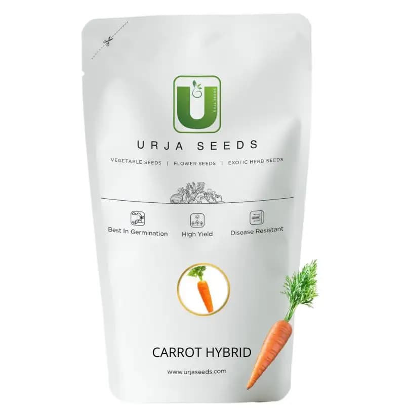 Urja F1 Hybrid Nintendo Carrot Seeds, Deep Orange Color