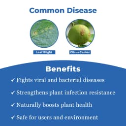 Katra Lysorus Anti-Virus and Anti-Bacteria (1 GM Lysorus Powder + 50 ML Activator) 3