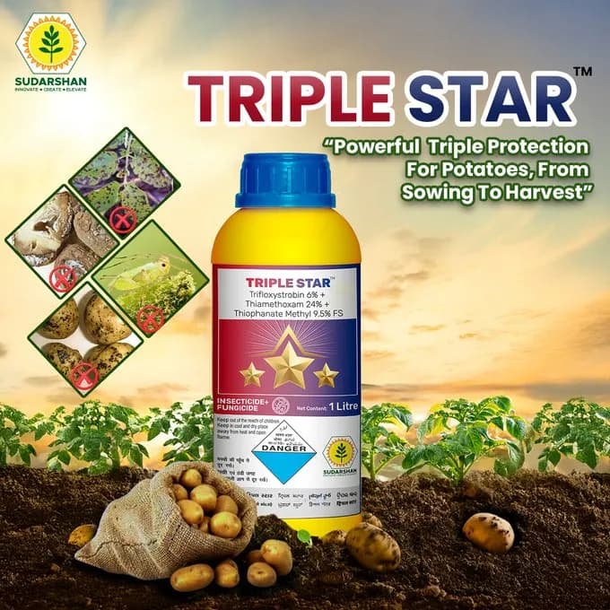 Sudarshan Triple Star - Trifloxystrobin 6% + Thiamethoxam 24% + Thiophanate Methyl 9.5% FS - Image 6