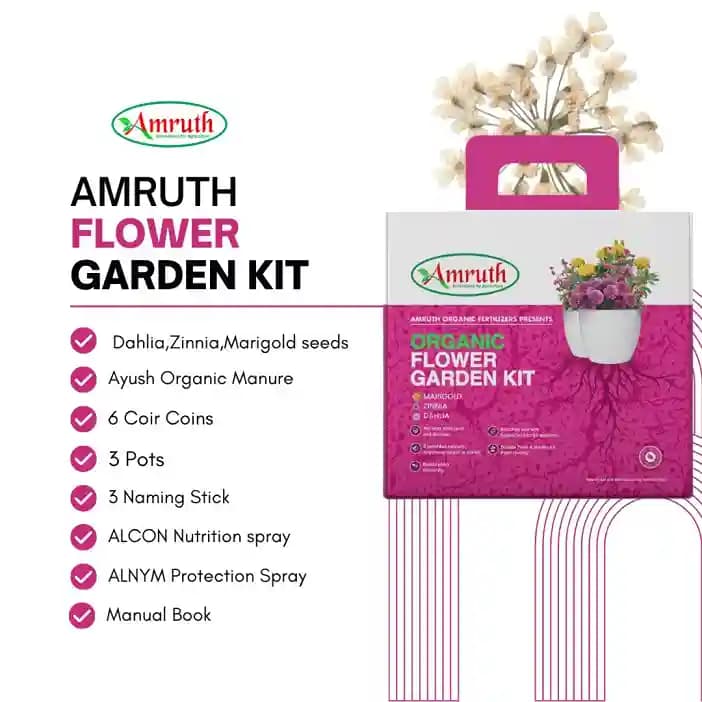 Amruth Organic Flower Kit, Garden Kit, DIY Kit, Grow Your Own Flowers in Kitchen Garden - Image 4