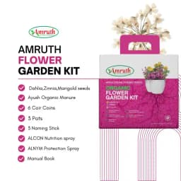 Amruth Organic Flower Kit, Garden Kit, DIY Kit, Grow Your Own Flowers in Kitchen Garden 4