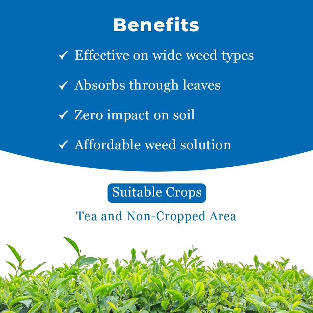Ju Glypho-41, Glyphosate 41% SL Used For Controlling Broad Range Of Weeds In Crop & Non- Crop Situation - Image 4