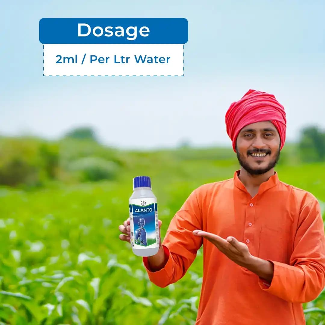 Bayer Alanto Thiacloprid 240 SC 21.7% ww Insecticides, Belongs to a Group of Neonicotinoid, An Effective Tool and Broad Spectrum of Pests - Image 5