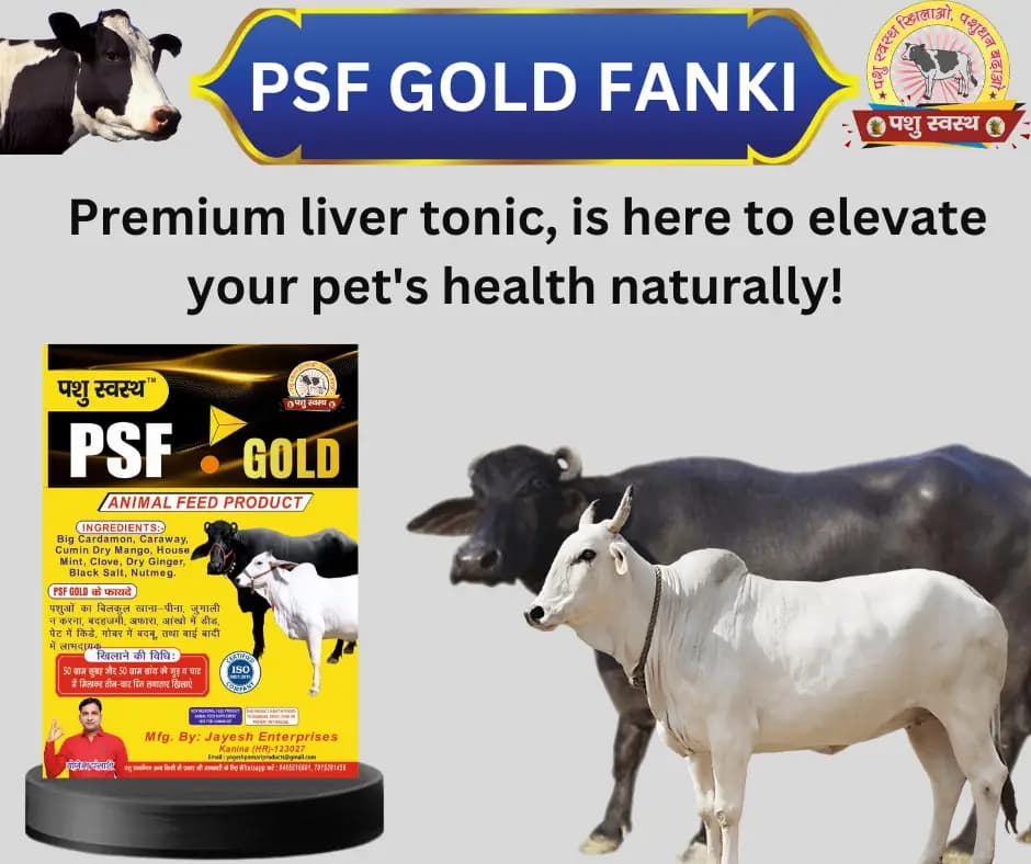 PASHU SVASTH PSF GOLD FANKI-A, Complete Animal Health Supplement Made From Traditional Herbs - Image 5
