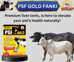 PASHU SVASTH PSF GOLD FANKI-A, Complete Animal Health Supplement Made From Traditional Herbs 5
