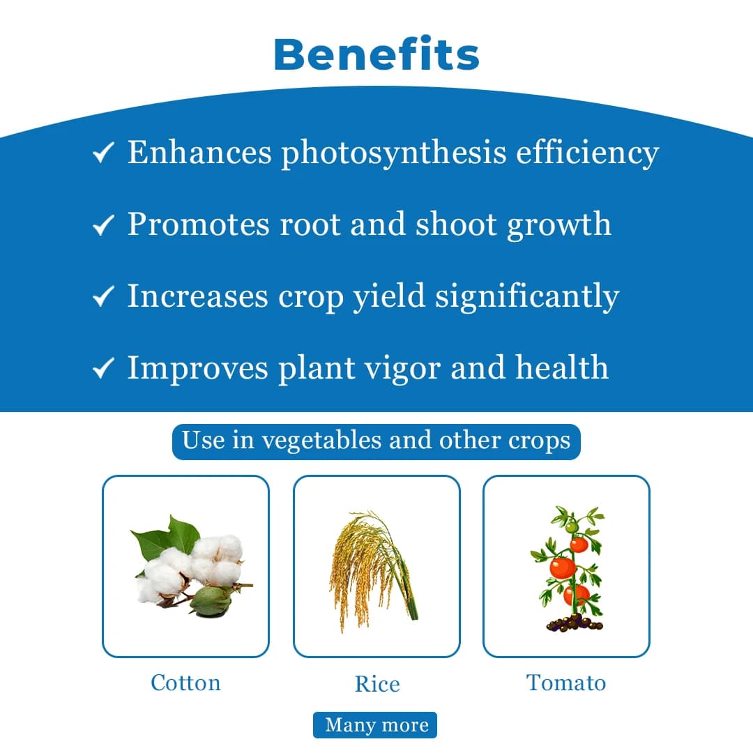 Godrej Agrovet VIPUL BOOSTER Triacontanol 0.1% EW, Plant Growth Regulator - Image 4