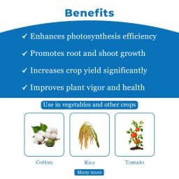 Godrej Agrovet VIPUL BOOSTER Triacontanol 0.1% EW, Plant Growth Regulator 4
